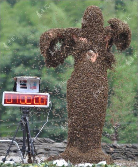 Соревнования пчеловодов в Китае (48 фото)