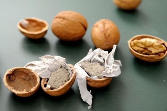 Поддельные грецкие орехи из Китая (4 фото)