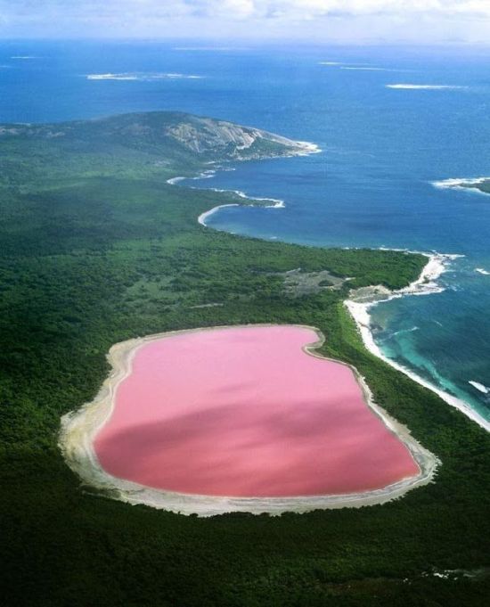Lake hillier – розовое озеро в Австралии (12 фото + 1 видео)