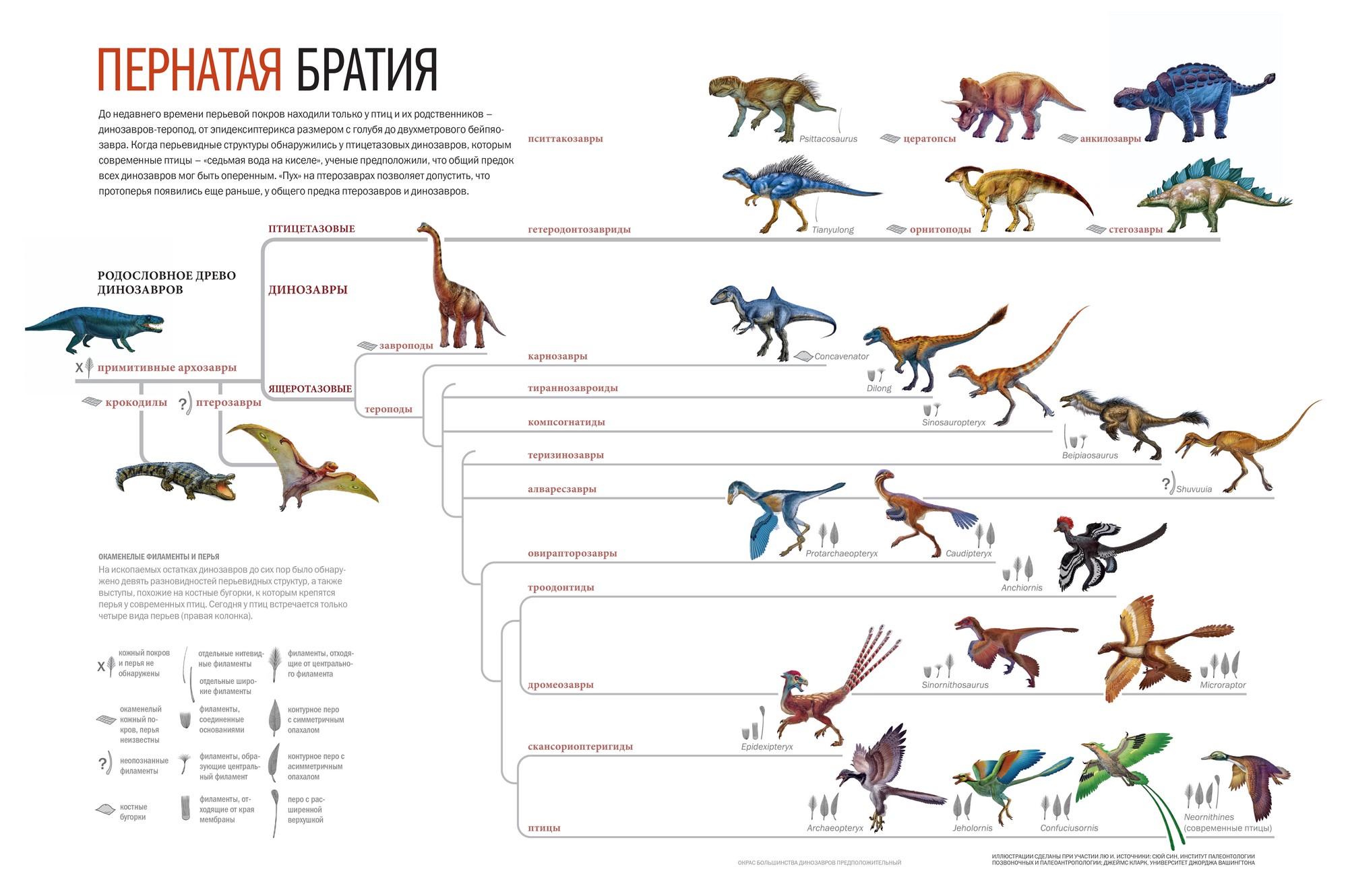 Динозавры развитие. Систематика динозавров схема. Эволюционное Древо архозавров. Эволюция динозавров схема. Эволюционное Древо динозавров.