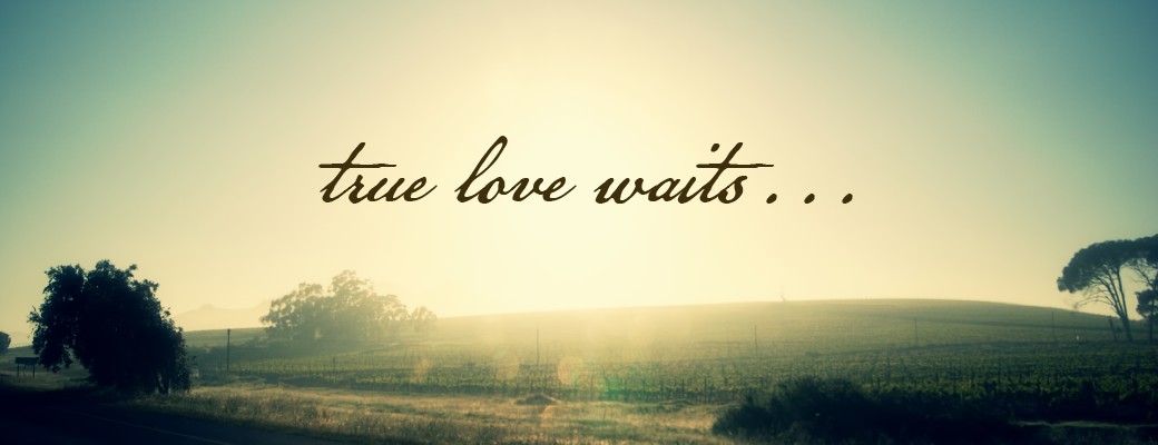 Движение True love waits («Настоящая любовь ждет»)