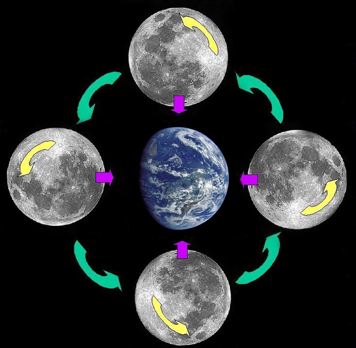 Почему луна не вращается и мы видим только одну сторону