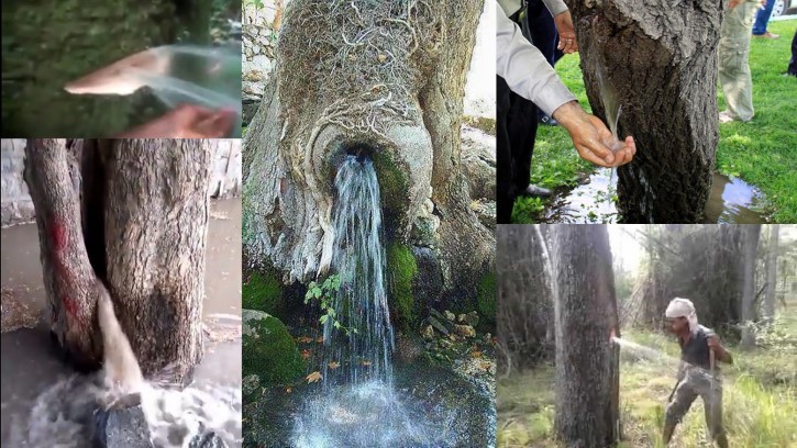 Ручей из дерева и колодец фонтан