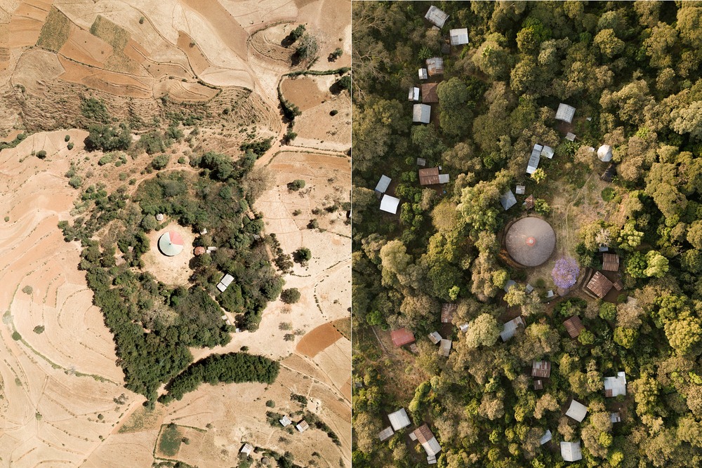 Церковные леса Эфиопии