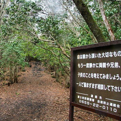 Лес самоубийц в Японии