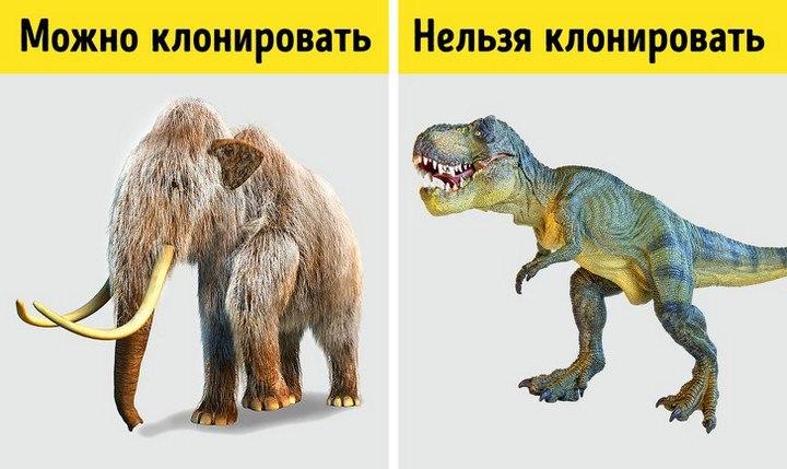 Почему нельзя клонировать динозавров